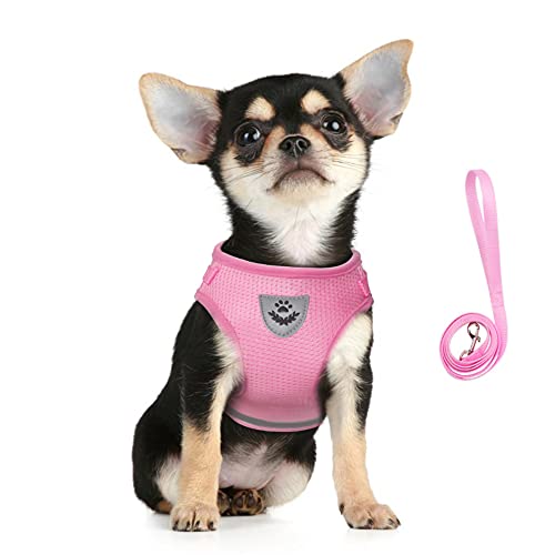 FEimaX No Pull Dog Harness and Leash Set, Soft Mesh Adjustable Lightweight Puppy Harnesses with Reflective Strap, Escape Proof Small Dog Cat Vest for Outdoor Walking