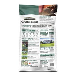 Pennington Kentucky 31 Tall Fescue Grass Seed 20 lb