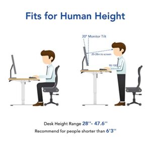 FLEXISPOT EC1 Height Adjustable Desk 55 x 28 inch Electric Standing Desk Whole-Piece Desk Board Stand Up Desk for Home Office (Gray Frame + 55" Natural Top)