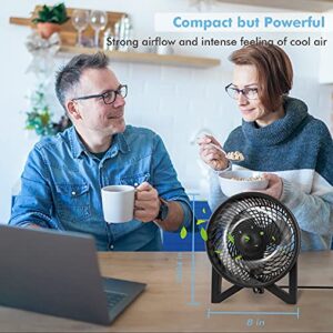 Dr. Prepare Quiet Desk fan, 8 Inch Powerful Table Fan, Small Bedside Fan with 2 Speeds, Portable Personal Cooling Fan for Bedroom Sleeping Tabletop Office Home Kitchen Camping, Black