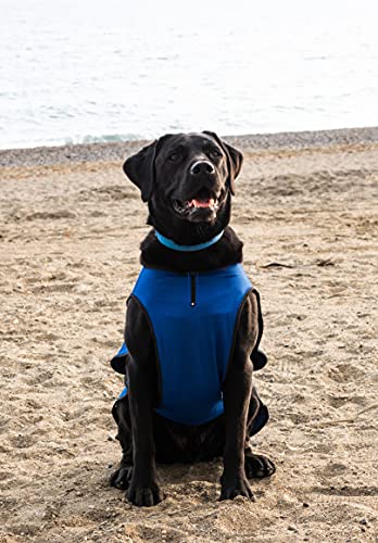 Lautus Pets Dog Cooling Vest - Lightweight Dog Cooling Jacket for Dogs. (S - Small 35cm, Blue)