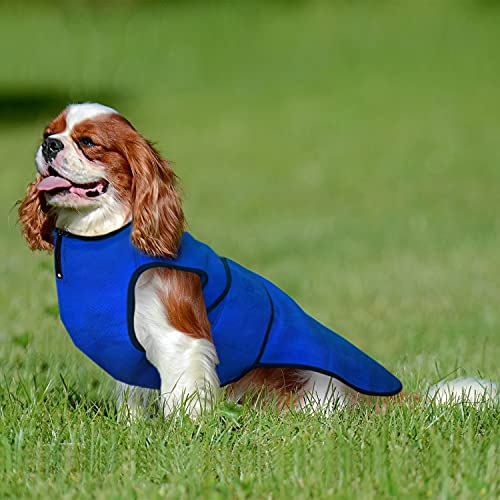 Lautus Pets Dog Cooling Vest - Lightweight Dog Cooling Jacket for Dogs. (S - Small 35cm, Blue)