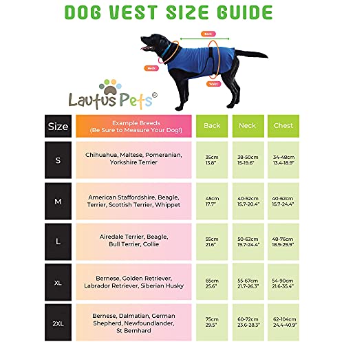 Lautus Pets Dog Cooling Vest - Lightweight Dog Cooling Jacket for Dogs. (S - Small 35cm, Blue)