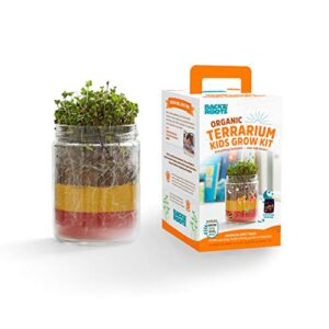 back to the roots organic kids terrarium grow kit - easy-to-use diy set for all ages small