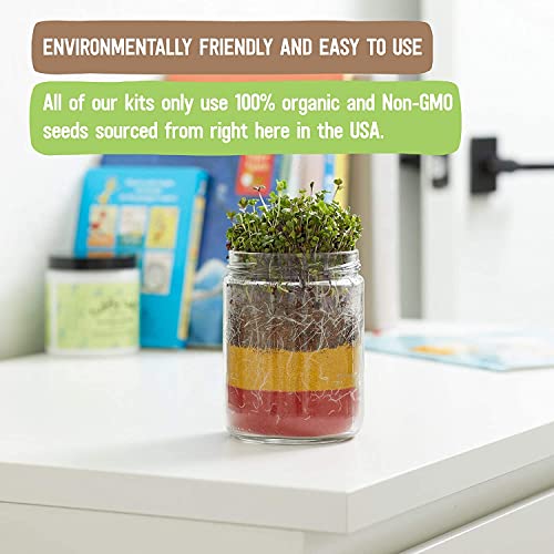 Back to the Roots Organic Kids Terrarium Grow Kit - Easy-to-Use DIY Set for All Ages Small