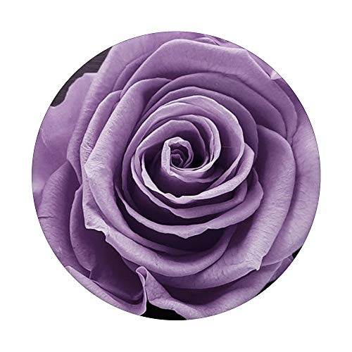 lavender Rose PopSockets PopGrip: Swappable Grip for Phones & Tablets