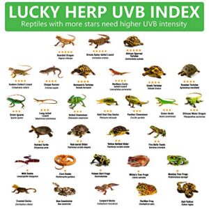 LUCKY HERP 18inch 15W T8 UVB 5.0 Reptile Light, UVA UVB Bulb, Fluorescent Lamp for Reptiles Amphibian