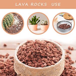 CARURBODY Red Lava Rocks for Plants -100% Pure Volcanic Rock No Dyes or Chemicals-Best Lava Stones Top Dressing for Cacti Succulents Plants,Bonsai