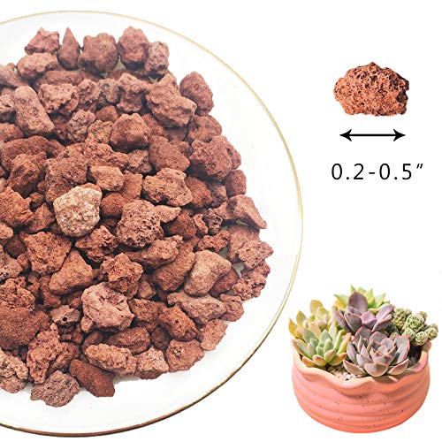 CARURBODY Red Lava Rocks for Plants -100% Pure Volcanic Rock No Dyes or Chemicals-Best Lava Stones Top Dressing for Cacti Succulents Plants,Bonsai