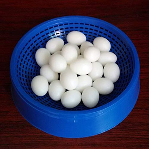 Pigeon False Eggs Fake Eggs 10pc Filled Plastic Simulation for Hatch Breeding Supplies Dropship Plastic Pigeon Egg Solid Pigeon Fake Egg Pigeon Hatching Supplies