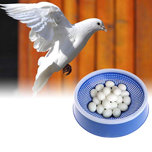 Pigeon False Eggs Fake Eggs 10pc Filled Plastic Simulation for Hatch Breeding Supplies Dropship Plastic Pigeon Egg Solid Pigeon Fake Egg Pigeon Hatching Supplies