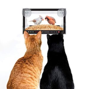 Genuine Fred Live Feed Bird Feeder, Clear