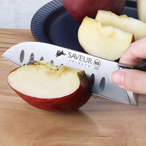 SAVEUR SELECTS 1026276 German Steel Forged 2-Piece Santoku and Paring Knife Set