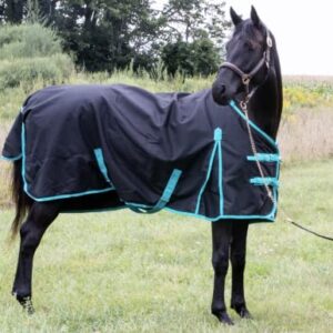 Tech Equestrian 1200 Denier Horse RAIN Sheet (Waterproof/Breathable & Wind Proof Turnout Sheet) Horse Breathable RAINSHEET (Black-Turquoise, 72)