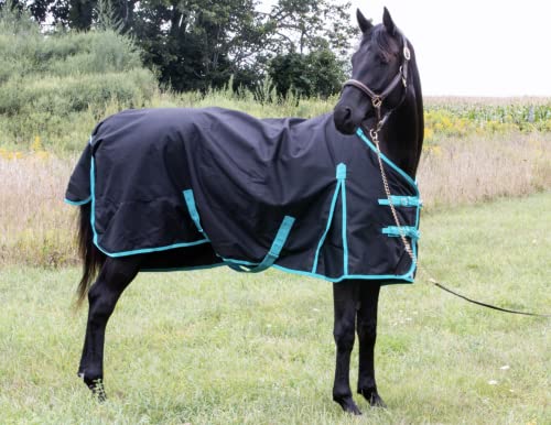 Tech Equestrian 1200 Denier Horse RAIN Sheet (Waterproof/Breathable & Wind Proof Turnout Sheet) Horse Breathable RAINSHEET (Black-Turquoise, 72)