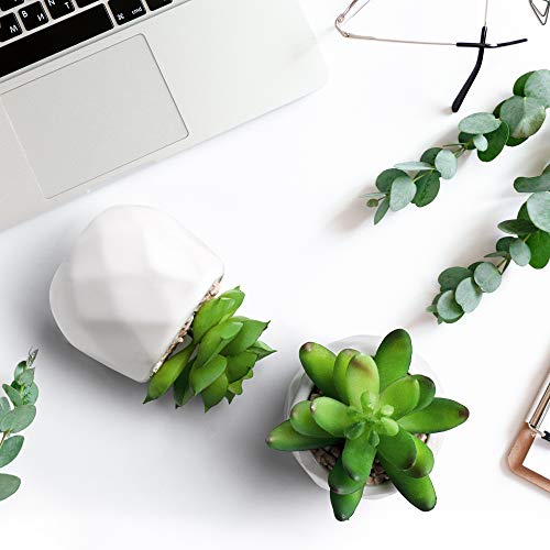 Mocoosy 4 Pack Mini Artificial Succulent Plants in Pots, Fake Succulent Set with White Ceramic Planter Pots, Faux Succulents Plants Artificial Potted for Home Office Bedroom Decorations