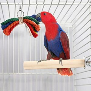 PrimePets Bird Parakeet Toys, Bird Cage Swing Toys, 13 Pack, Colorful Hanging Bell Hammock Climbing Ladder Toys for Cockatiel, Conure, Finches, Mynah, Love Birds