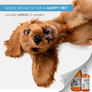 Premium Colloidal Silver 300ml 40ppm ● For Pets (Dogs, Cats, Fish) ● & Spray to Fill ● 100% Natural ● Higher Concentration, Smaller Particles = Better Results ● Lab Certified ● For Ear, Eyes, Skin