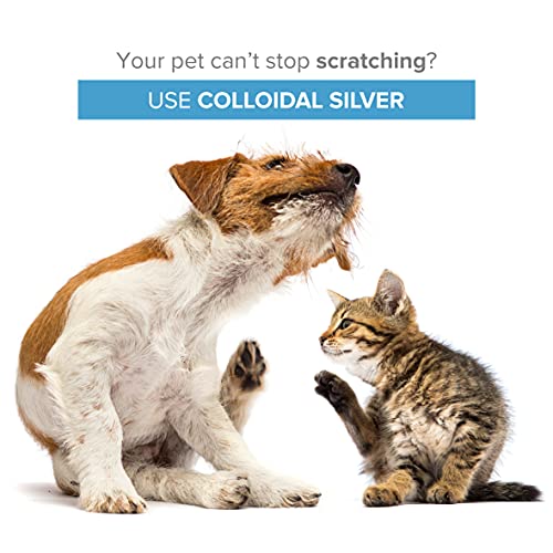 Premium Colloidal Silver 300ml 40ppm ● For Pets (Dogs, Cats, Fish) ● & Spray to Fill ● 100% Natural ● Higher Concentration, Smaller Particles = Better Results ● Lab Certified ● For Ear, Eyes, Skin