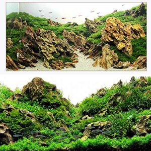 Voulosimi Dragon Stone Rock Aquariums Decoration Aquascaping Stone (Mixed Sizes) 7.2 lb