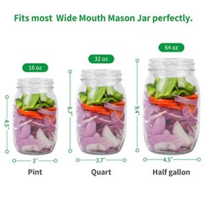 Sekmet Fermentation Glass Weights 6-Pack with Easy Grip Handle for Wide Mouth Mason Jar Fermenting Sauerkraut, Pickles,Kimchi Vegetables,Canning supplies and More Home Fermented Foods Dishwasher safe