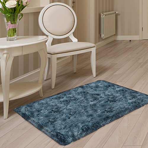 Rainlin Soft Fluffy Bedroom Rugs Indoor Shaggy Plush 3x5 Area Rug College Dorm Living Room Home Decor Floor Carpet Shag Non-Slip Nursery Rugs, Blue