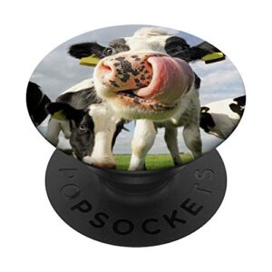 cow farm animal popsockets swappable popgrip