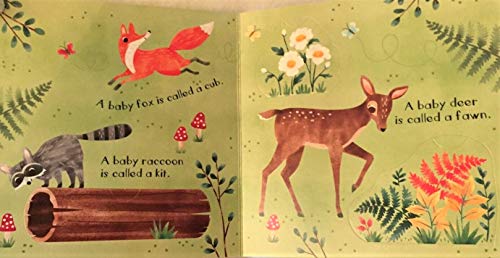 Baby Animals A Lift-A-Flap Hardcover Illustrated Board Book