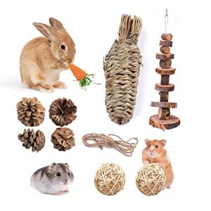 fansisco handmade pet chew toys with hay grass carrot toys apples wood molar string carrot toys chew toys for rabbit bunny hamsters chinchilla guinea pigs or other rodent pets (30209), 30*20*9