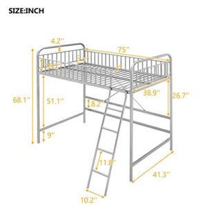 Twin Loft Bed with Full-Length Guardrail and Ladder (Silver)