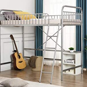 Twin Loft Bed with Full-Length Guardrail and Ladder (Silver)