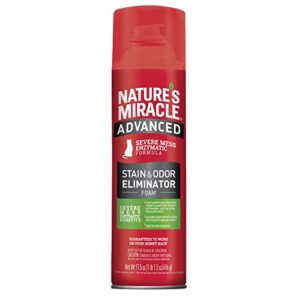 nature's miracle advanced stain and odor eliminator foam cat 17.5 ounces, for severe cat messes, aerosol