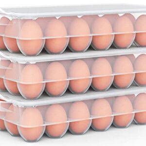 Clear Covered Egg Holder 3-Pack, Plastic Egg Storage for Refrigerator, Egg Tray Container with Lid, Fits 18 Eggs