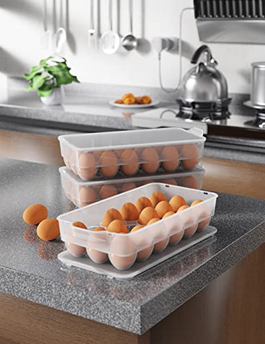 Clear Covered Egg Holder 3-Pack, Plastic Egg Storage for Refrigerator, Egg Tray Container with Lid, Fits 18 Eggs