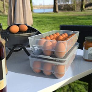 Clear Covered Egg Holder 3-Pack, Plastic Egg Storage for Refrigerator, Egg Tray Container with Lid, Fits 18 Eggs