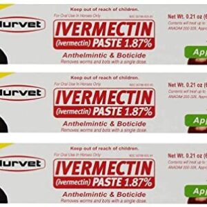 Durvet Ivermectin Paste Equine Dewormer - 3 Pack