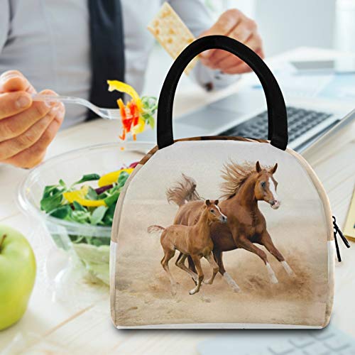 YiGee Running Horse Lunch Bag Tote Bag, Insulated Organizer Zippered Lunch Box Lunchbox Lunch Container Handbag for Women Men Home Office Picnic Beach Use