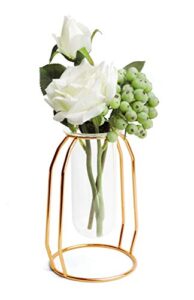 fsyueyun desktop glass vase with metal frame，modern creative hydroponics vase metal flower planter terrariums plant glass-gold (6.3inch)