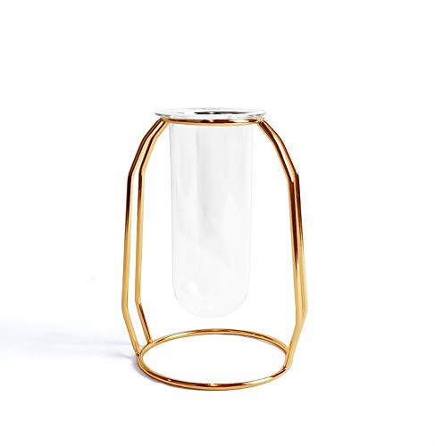 FSyueyun Desktop Glass Vase with Metal Frame，Modern Creative Hydroponics Vase Metal Flower Planter Terrariums Plant Glass-Gold (6.3Inch)