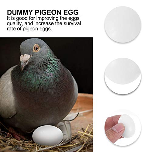 POPETPOP Fake Pigeon Eggs - 30Pcs Parrot Dummy Eggs White Solid Plastic Simulation Hatching Eggs Pigeon Birds Dummy Eggs for Hatch Incubation Breeding Solid