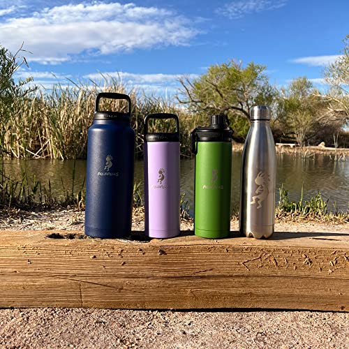 Aquapelli Vacuum Insulated Water Bottle, 18 Ounces, Willow Green