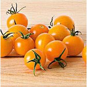 sunsugar tomato seeds (((50 seed packet))) (more heirloom, non gmo, vegetable, fruit, herb, flower garden seeds at seed king express)