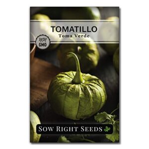 sow right seeds - toma verde tomatillo seed for planting - non-gmo heirloom packet with instructions to plant a home vegetable garden