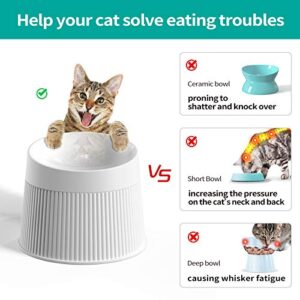 uahpet Elevated Cat Food Bowl Super Widen Raised Cat Food Dishes for Protecting Spine, Reliefing Whisker Fatigue, Anti-Vomiting 17° Tilted Pet Feeding Bowls with Silicone Mat for Indoor Cats