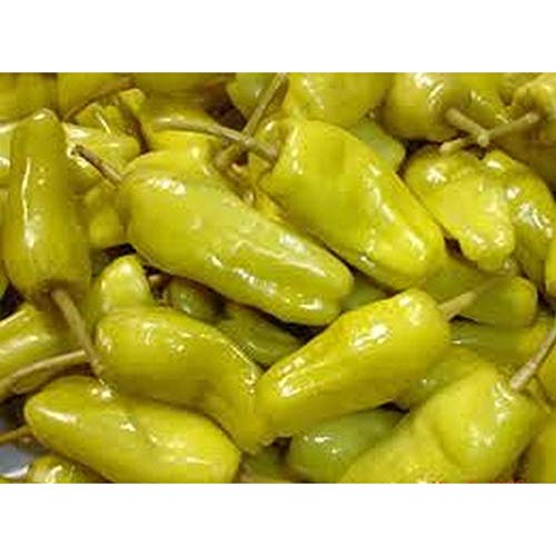 Pepperoncini Pepper (Hard to Find) Seeds (40 Seed Pack)