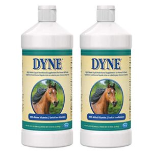 petag dyne high calorie liquid nutritional supplement for horses & ponies - provides energy and extra nutrition - contains soybean oil & vitamins - 32 fl oz - 2 pack