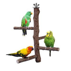 filhome bird perch stand toy, natural wood parrot perch bird cage branch perch accessories for parakeets cockatiels conures macaws finches love birds (m: 10" length)