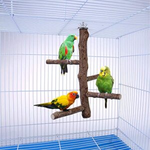 Filhome Bird Perch Stand Toy, Natural Wood Parrot Perch Bird Cage Branch Perch Accessories for Parakeets Cockatiels Conures Macaws Finches Love Birds (M: 10" Length)