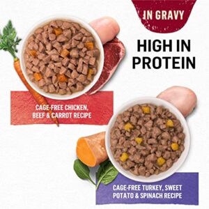 Purina Beyond Chicken, Beef and Carrot and Turkey, Sweet Potato and Spinach in Wet Cat Food Gravy 12 Ct Variety Pack - (2 Packs of 12) 3 oz. Cans