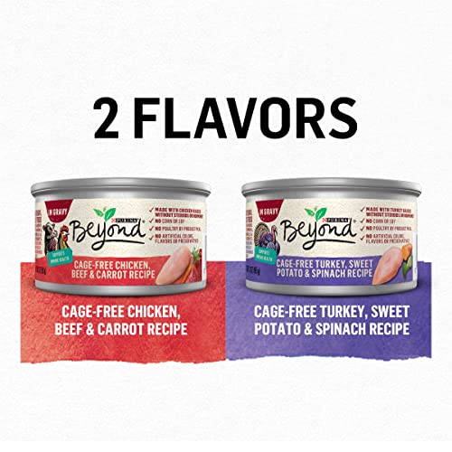 Purina Beyond Chicken, Beef and Carrot and Turkey, Sweet Potato and Spinach in Wet Cat Food Gravy 12 Ct Variety Pack - (2 Packs of 12) 3 oz. Cans